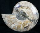 Large Inch Split Ammonite Pair #4366-4